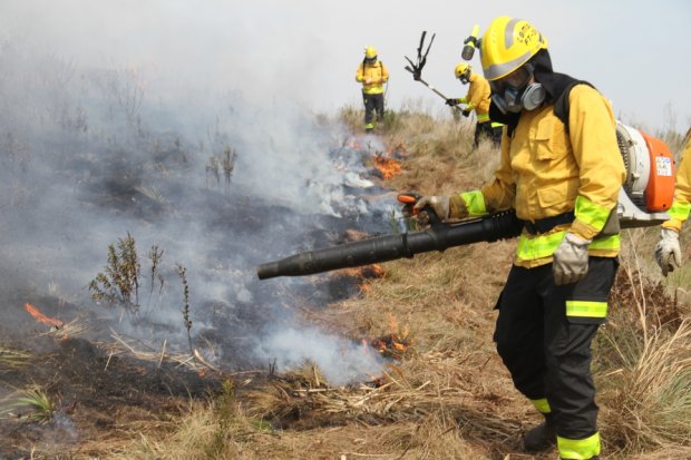 Em Imbituba, Bombeiros combatem incêndio que atinge cerca de 20 mil metros quadrados de vegetação