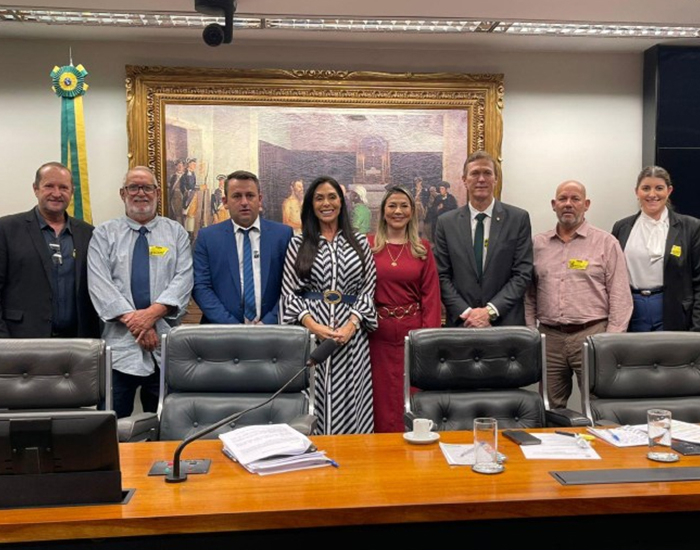 Deputados debatem revisão dos limites da APA da Baleia Franca em Brasília