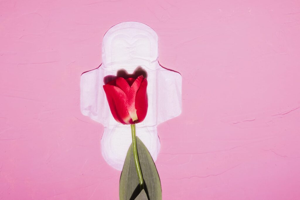 Pescaria Brava garante distribuição gratuita de absorventes para estudantes e mulheres em vulnerabilidade