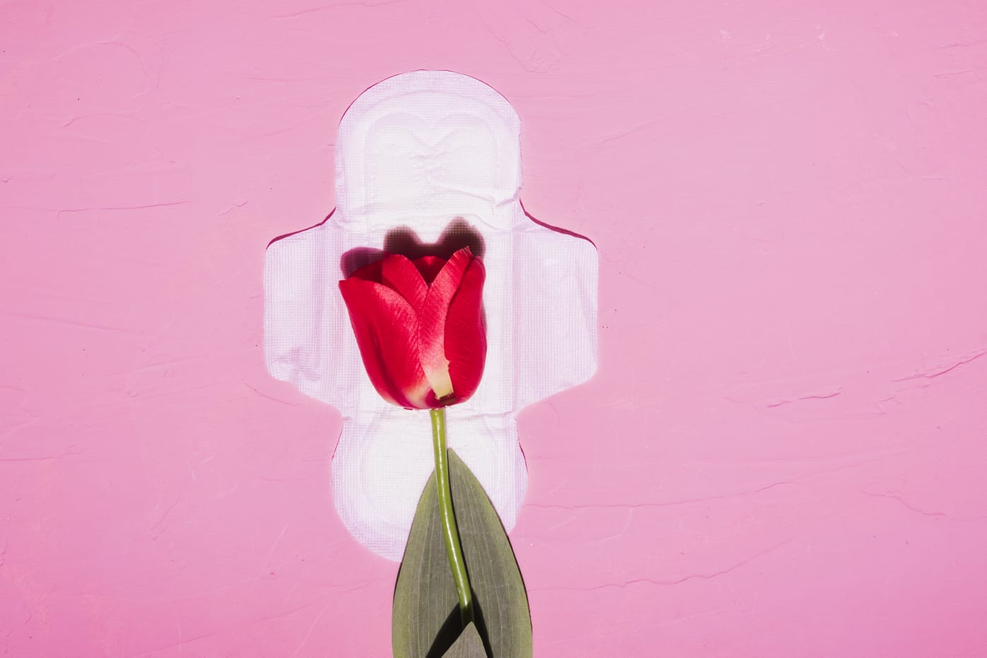 Pescaria Brava garante distribuição gratuita de absorventes para estudantes e mulheres em vulnerabilidade