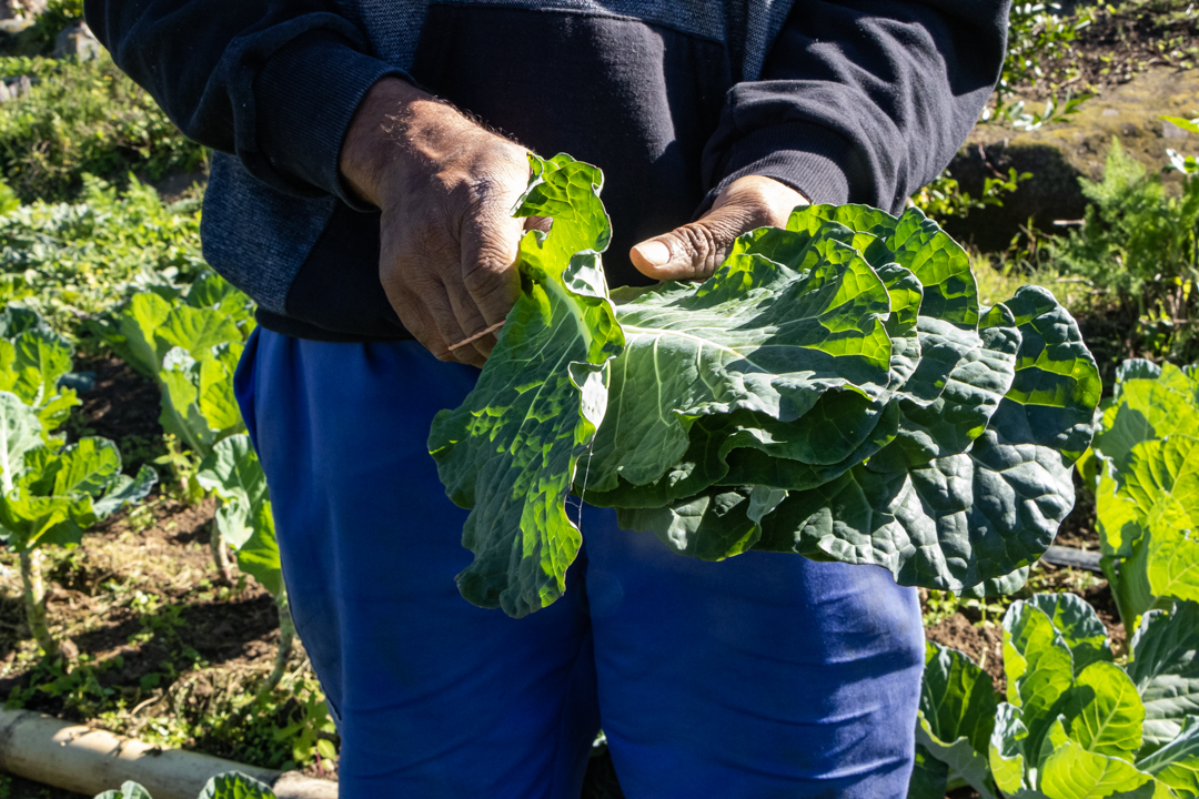 Inscrições para eleição do Conselho de Alimentação Escolar de Garopaba encerram nesta sexta-feira (29); confira o edital