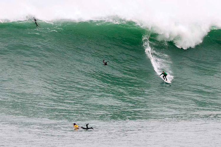 Com Imbituba e Garopaba representadas, Pico Alto Pro 2025, campeonato de ondas grandes no Peru, recebe sinal verde e acontece no próximo final de semana