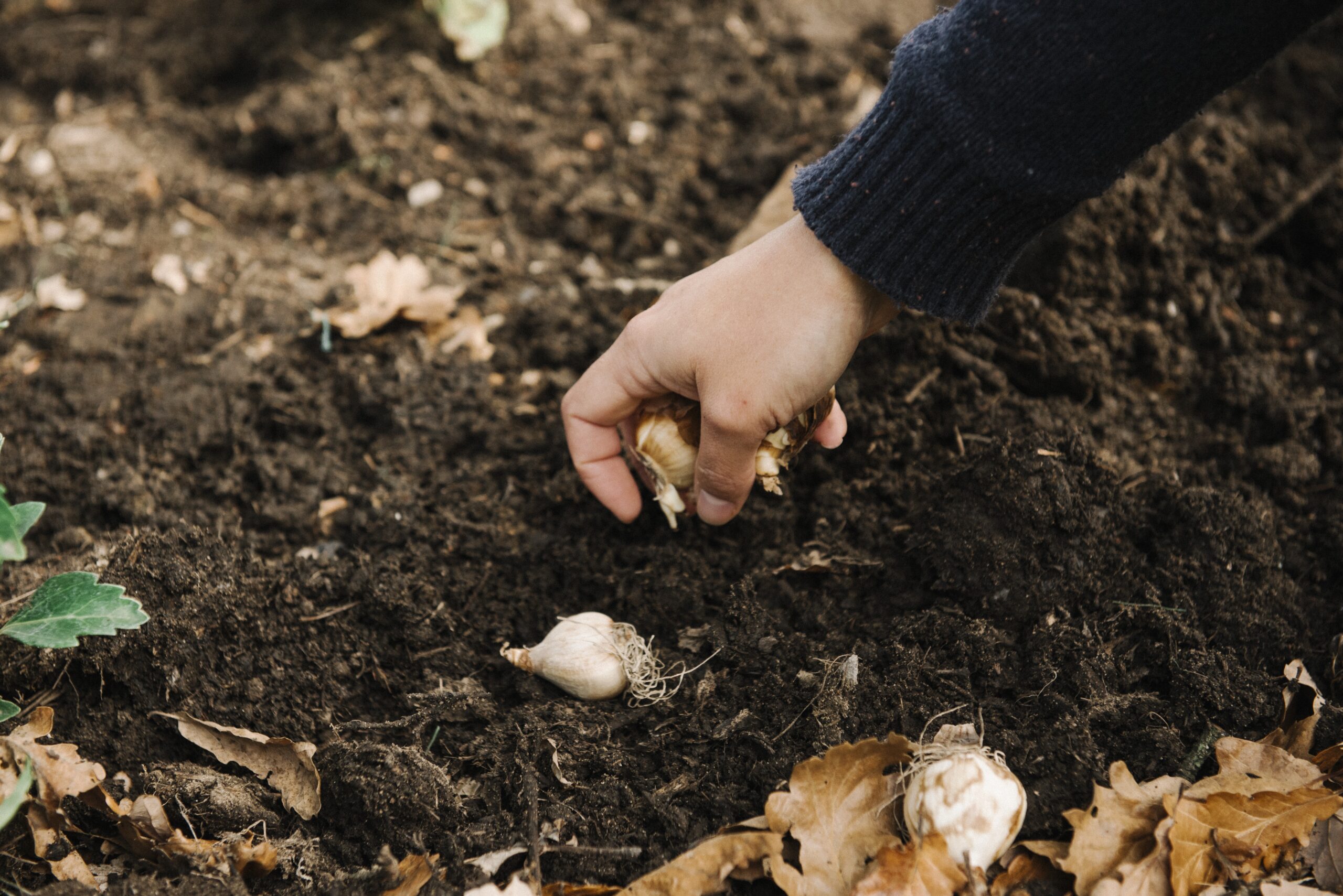 Câmara de Garopaba promove audiência pública sobre compostagem de resíduos orgânicos