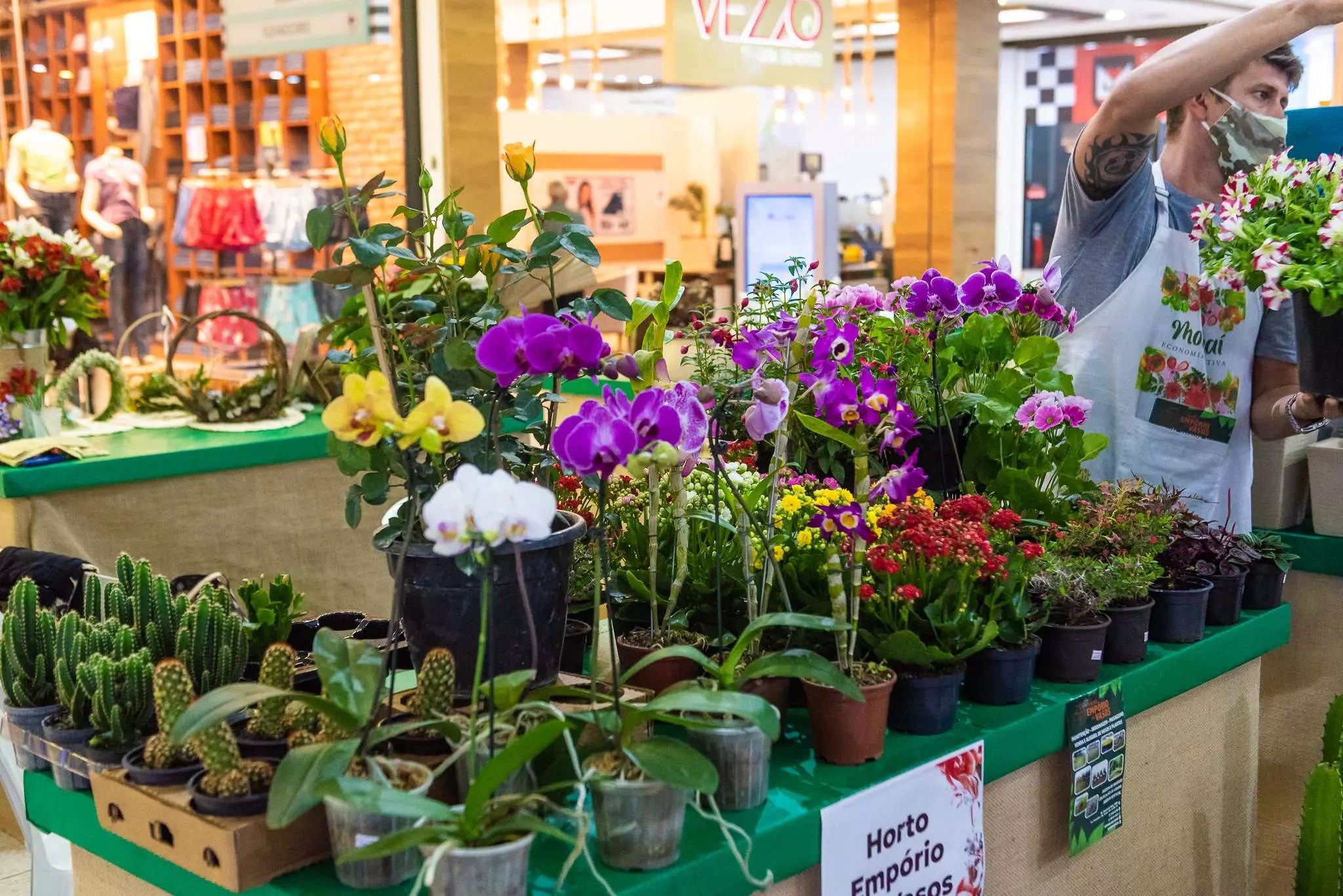 III Feira de Plantas vai movimentar Imbituba e região com artesanato, concurso e opções de presentes natalinos