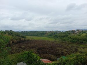 Incêndio pode ter atingido área protegida em Imbituba, aponta Secretaria do Meio Ambiente
