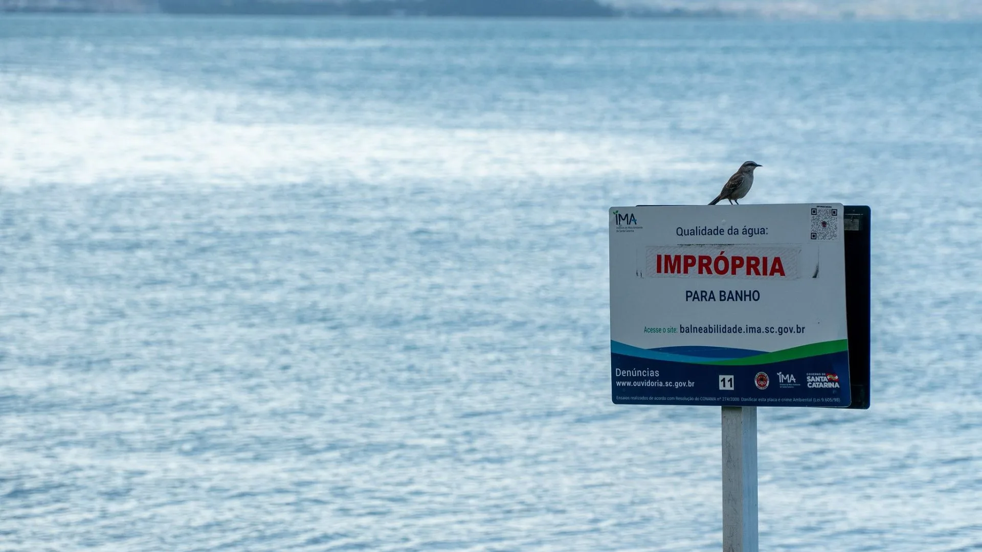 Região tem ponto imprório para banho; confira a situação nas praias e lagoas de Imbituba, Garopaba e Laguna conforme o último relatório do IMA