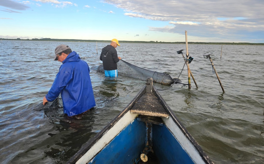 Após 20 anos de espera, portaria do Governo Federal é assinada em Laguna e pesca artesanal do camarão ganha regulamentação histórica em SC