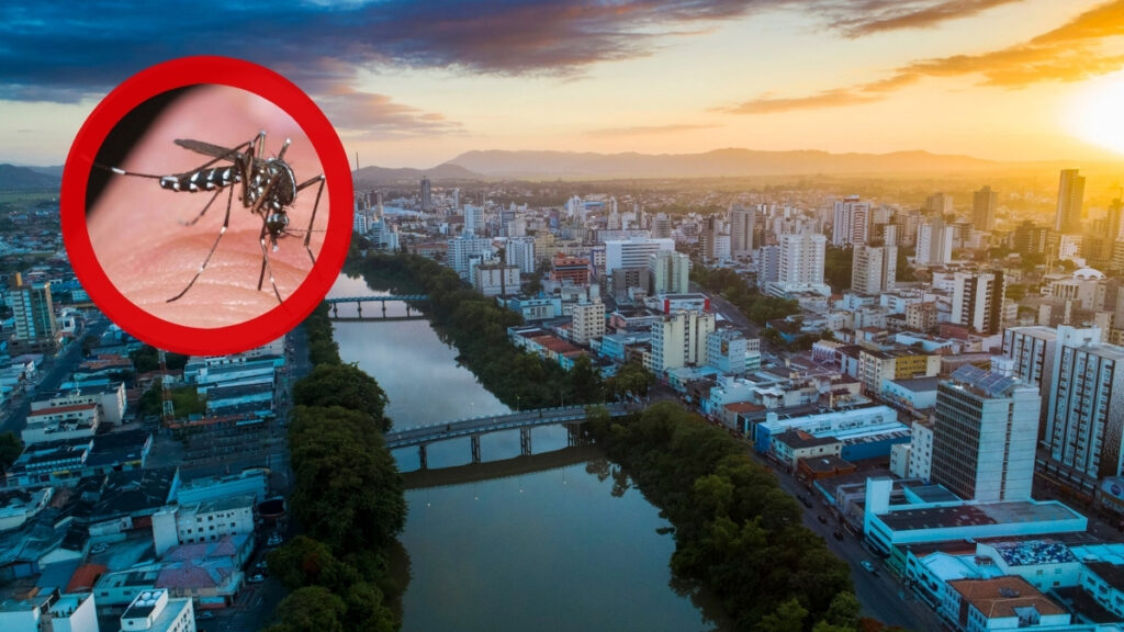 Dengue em Tubarão soma 634 focos e primeira internação