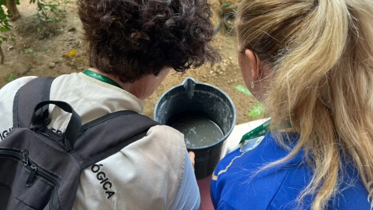 focos do Aedes aegypti em Laguna