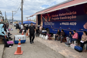 Mutirão promovido pelo Centro de Bem Estar Animal de Imbituba realiza 537 castrações de cães e gatos gratuitas