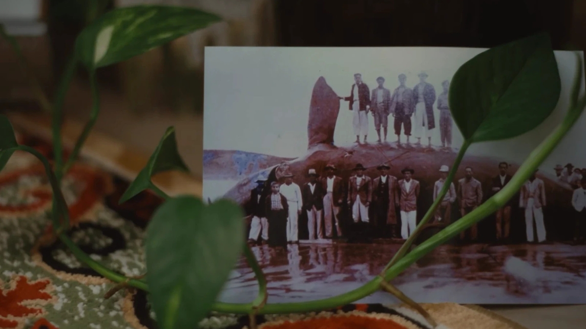 filme de Imbituba
