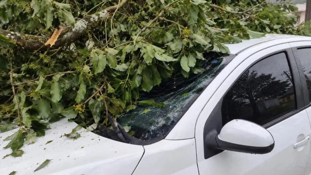 galho de árvore cai sobre veículo em Garopaba