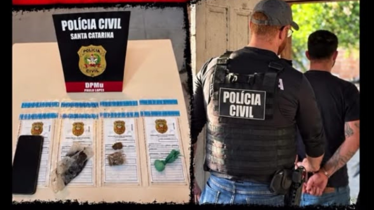 tráfico de drogas em Paulo Lopes